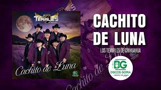 Cachito de Luna - Los Temibles de Chihuahua [Audio Oficial]