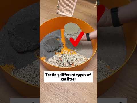 Cat litter test. Mineral Cat Litter Supplier. Cat litter factory price. Cat litter imported China