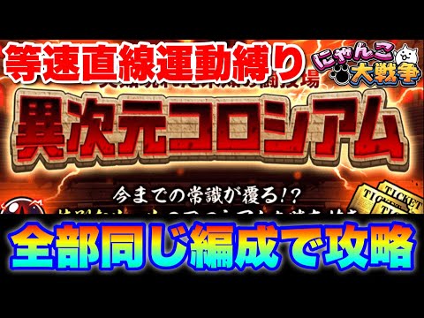 猫の動画サムネイル - 異次元コロシアム「等速直線運動※限定なし追加」全部同じ編成で攻略できる！　#にゃんこ大戦争　#battlecats