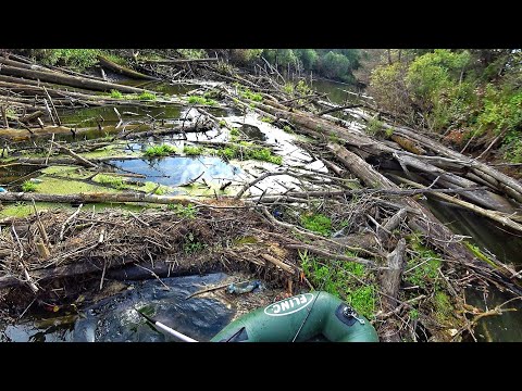 Рыбалка в самом страшном месте! Опасный сплав - из рыбалки в страдания!