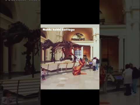 Sadhu kokilla and dinosour kannada comedy video😂 #kannada #bangalore #mysuru #mandya #hassan