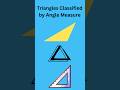 Understanding Triangle Types