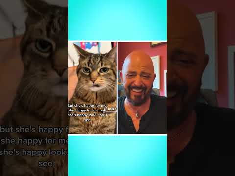 Watch Until the End! ๐น #cats #funnycats