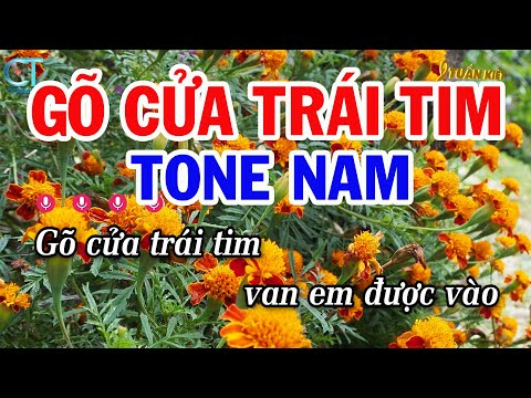 Karaoke Gõ Cửa Trái Tim Tone Nam Dm | Nhạc Sống Mới | Karaoke Tuấn Kiệt