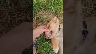 Tarçınımı özleyenlere gelsin♥