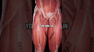His Hidden Cause of Groin Pain (SHOCKING!)