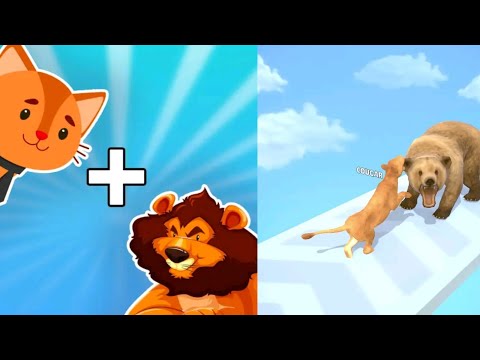 Cat Evolution Game Walkthrough: Discover the Evolution of your Feline Friends!