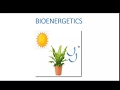 Thermodynamics and Bioenergetics Concepts