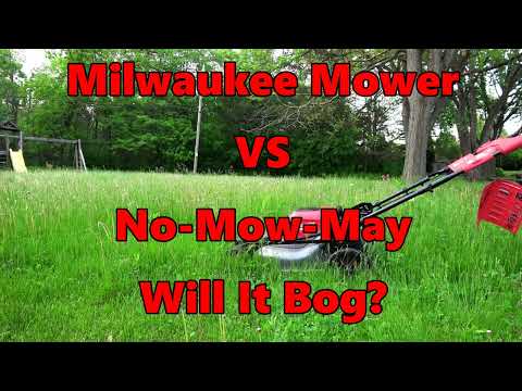 Milwaukee Mower VS No Mow May