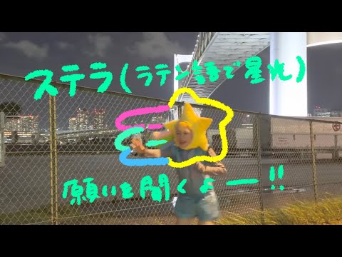 流れ星【ステラ】