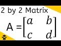 Understanding Determinants of a 2x2 Matrix