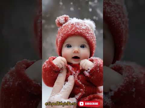 Cute Maxica Plush Dancing Cactus Electric Plush Toy Auto 😂🥰 #funnyshorts #cute #shortsviral