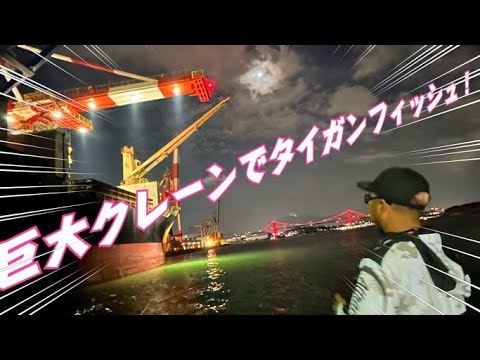 タイガンで異種(魚)格闘技!巨大クレーンの下でタイガンフィッシュ!