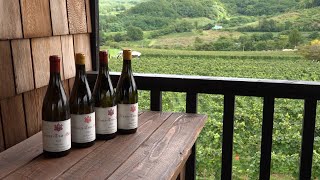 Yoichi’s Wine-Fermented Regional Revitalization_ Channel JAPAN #33/2025