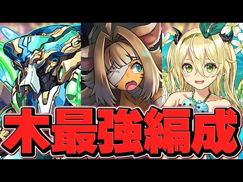 【木属性最強】ノーチラス×チャコル×マリエル×ユウリが相性抜群！！万寿12分攻略！【パズドラ】