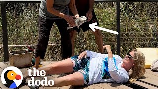 Senior Citizens Come Together To Rescue Seven Tiny Puppies | The Dodo