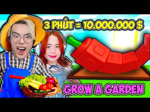 PHONG CẬN VÀ SAMMY CÁCH KIẾM 1O TRIỆU ĐÔ SIÊU DỄ TRONG ROBLOX GROW A GARDEN