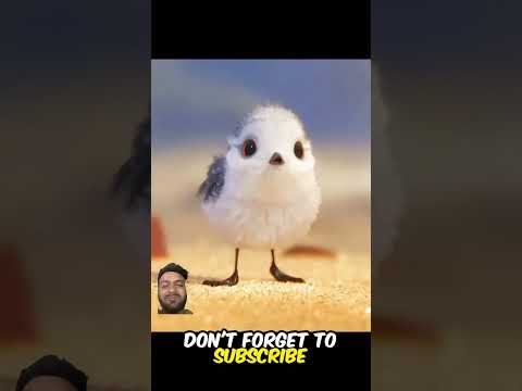 This. Little bird learn life heck👌👌 must. Watch. Till end #shortsbeta