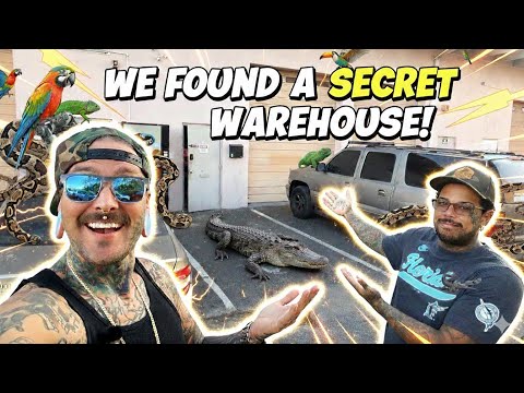 I Found a SECRET Warehouse Full of Exotic Animals… 😱