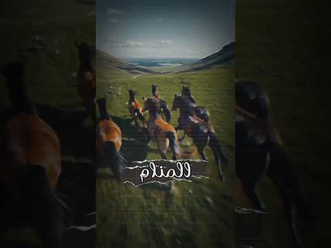 من معاني الخيل في المنام #تفسير_الاحلام