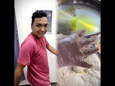 #fyp #funny #funnyvideo #viralvideo #comedy #comedia #humor