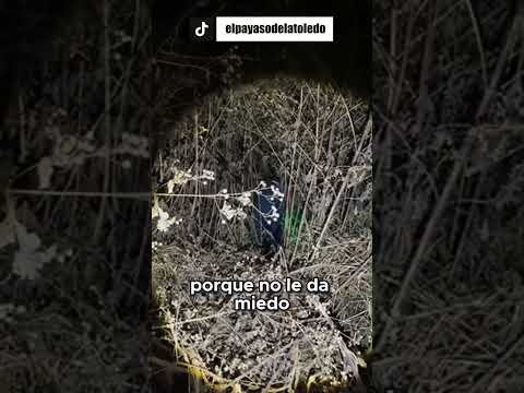 ¡No creerás lo que escuchamos en el bosque!