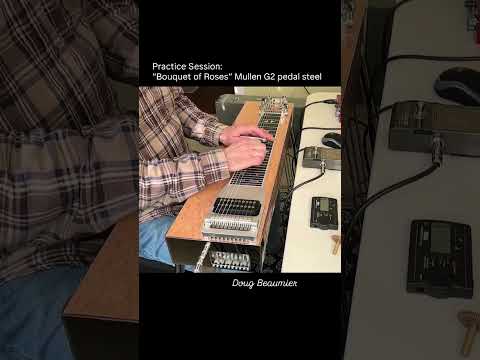 Pedal Steel Guitar - “Bouquet of Roses” #steelguitar #countrymusic #guitar #instrumental #musician