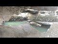 Archaeological Excavation and Historical Findings