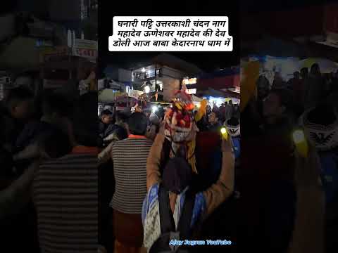 घनारी पट्टि उत्तरकाशी चंदन नाग महादेव ऊणेशवर महादेव की देव डोली आज बाबा केदारनाथ धाम में