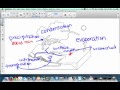 Water Cycle and Pollution Concepts