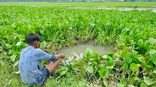 Amazing Fishing Video ✅|| I was amazed to see this boy cleaning the pond and catching fish (part-4)