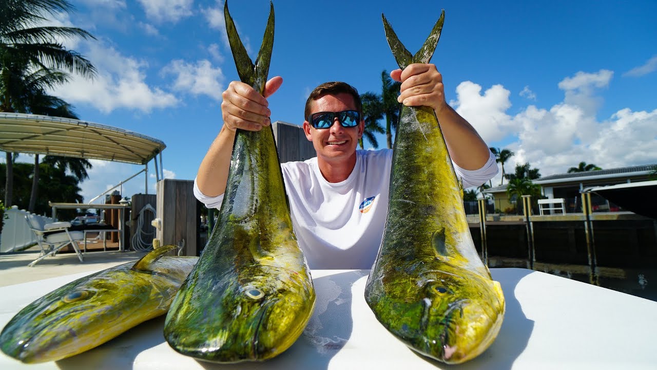 Fishing After a Hurricane. Catch Clean Cook (Dorian Relief)