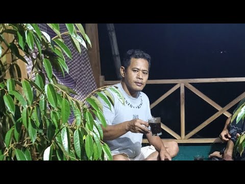 🔴 LIVE MARI BERGABUNG CARA MENGATASI POHON DURIAN BERMASALAH