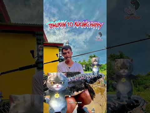 AYO TEMUKAN KUCING HAPPY #funny #memes