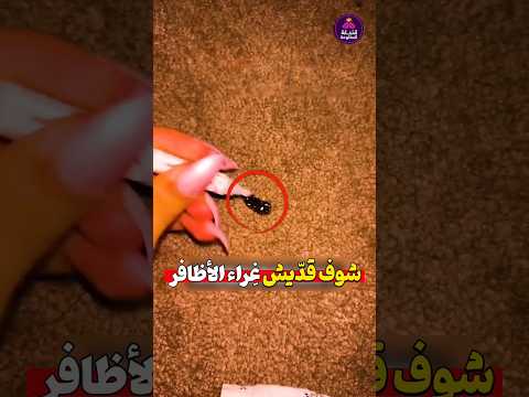 لا تعمل هالغلطة أبداً! 😳💀