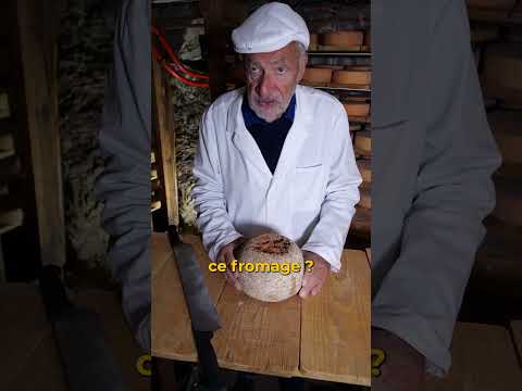 Ce fromage est dur comme du béton