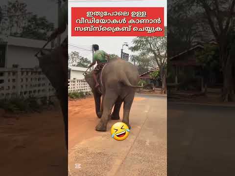 ഇറങ്ങി പോയി ഭക്ഷണം എടുത്തു വാ, എന്നിട്ട് സവാരി ചെയ്യാം