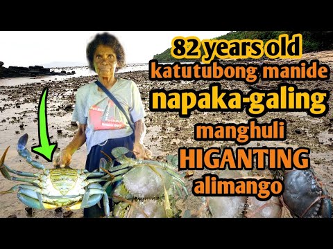 PARANG HARABAS SA GALING NI LOLA SA PANG HUHULI NG ALIMANGO