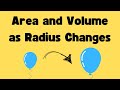 Understanding Proportions in Circles and Spheres