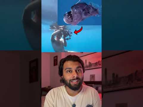 DOOMSDAY FISH WAS RIGHT?