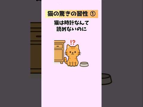 猫の驚きの行動と理解の秘密｜10の習性とその背景 サムネイル