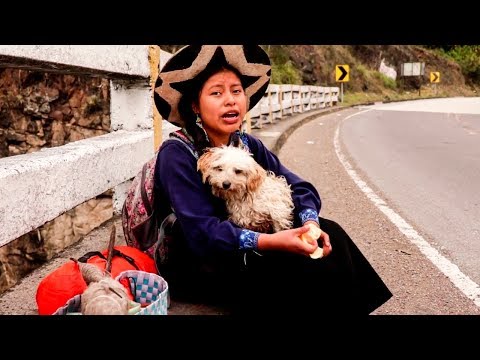 COMO ACAMPAR CORRECTAMENTE | NANCY RISOL