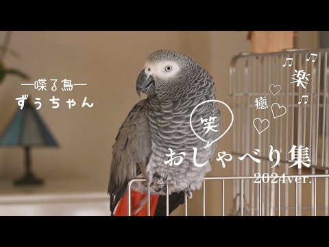 お久しぶりです！相変わらずよく喋っています😊