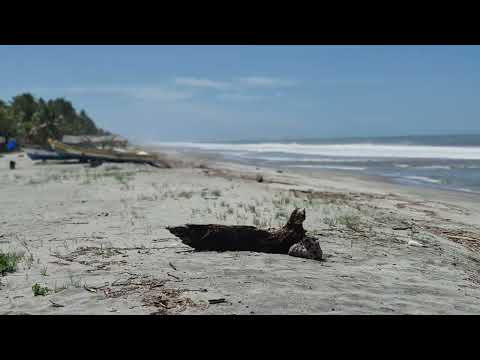 Playa cangrejera🦀