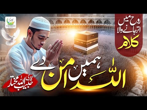 Allah Hamay Amaan De | Heart Touching Kalam By Qari Habibullah Mukhtar | Tauheed Islamic