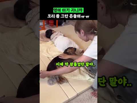 옆에 아기 자니까 꼬리 좀 그만 흔들어ㅠㅠ