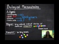 Biological Macromolecules and Reactions