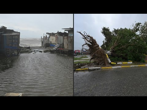 Fallen trees, windy conditions in St. Catherine as Hurricane Melissa hits Jamaica | AFP