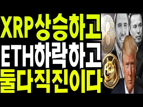 비트코인 도지코인 리플코인  🔥XRP상승하고 ETH하락하고 그래도 둘다 직진이다   🔥