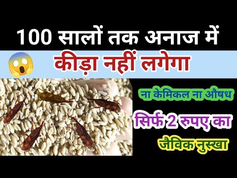 गेंहू भंडार करने का सबसे अच्छा तरीका । Gehu ko store kaise kare। Gehu store / money saving tips